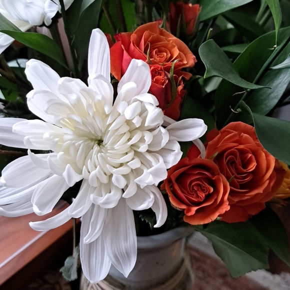 Meet your Posher, Megan - Picture 1 of 1